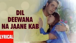 Dil Deewana Na Jane Kab Kho Gaya Lyrics
