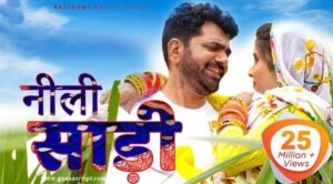 Neeli Saadi Lyrics