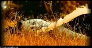 Tujhe Bhoolna To Chaha Lyrics
